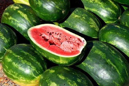 吃瓜恶心视频内容大全图片,吃瓜恶心视频内容大盘点