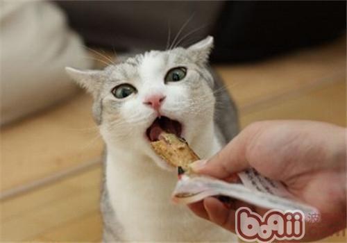 猫咪吃雪梨瓜好吗视频教程,健康美味两不误