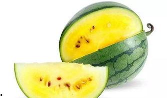 瓜条晒干怎么吃最好呢视频,美味营养的创意吃法揭秘